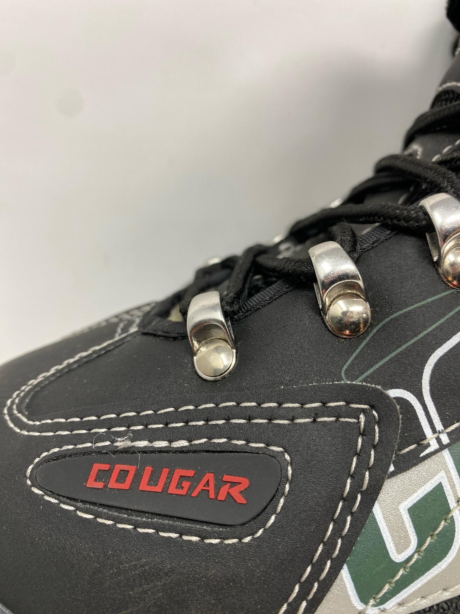 Cougar / Adult 7 / Scratches 5