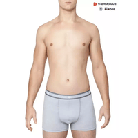 THERMOWAVE - MERINO LIFE / Mens Merino Wool Boxer Briefs / SILVERY
