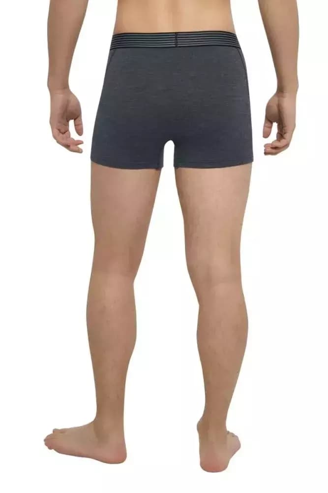 THERMOWAVE – MERINO LIFE / Mens Merino Wool Boxer Briefs / Dusty 2 THERMOWAVE – MERINO LIFE / Mens Merino Wool Boxer Briefs / Dusty 2