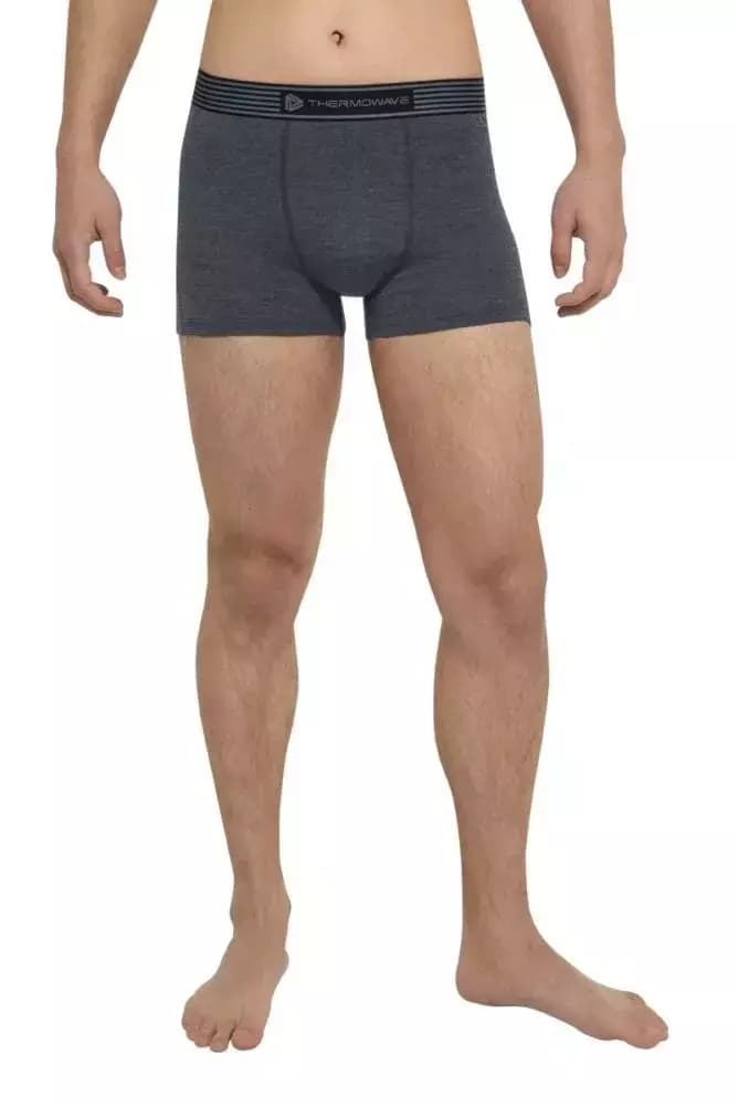 THERMOWAVE – MERINO LIFE / Mens Merino Wool Boxer Briefs / Dusty THERMOWAVE – MERINO LIFE / Mens Merino Wool Boxer Briefs / Dusty