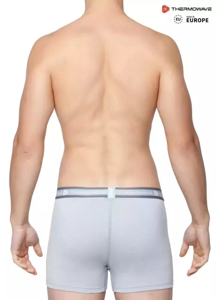 THERMOWAVE – MERINO LIFE / Mens Merino Wool Boxer Briefs / SILVERY 62 THERMOWAVE – MERINO LIFE / Mens Merino Wool Boxer Briefs / SILVERY 62