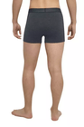 THERMOWAVE – MERINO LIFE / Mens Merino Wool Boxer Briefs / Dusty 4 THERMOWAVE – MERINO LIFE / Mens Merino Wool Boxer Briefs / Dusty 4