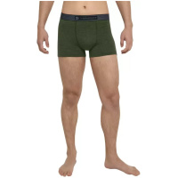 THERMOWAVE - MERINO LIFE / Mens Merino Wool Boxer Briefs / Pesto